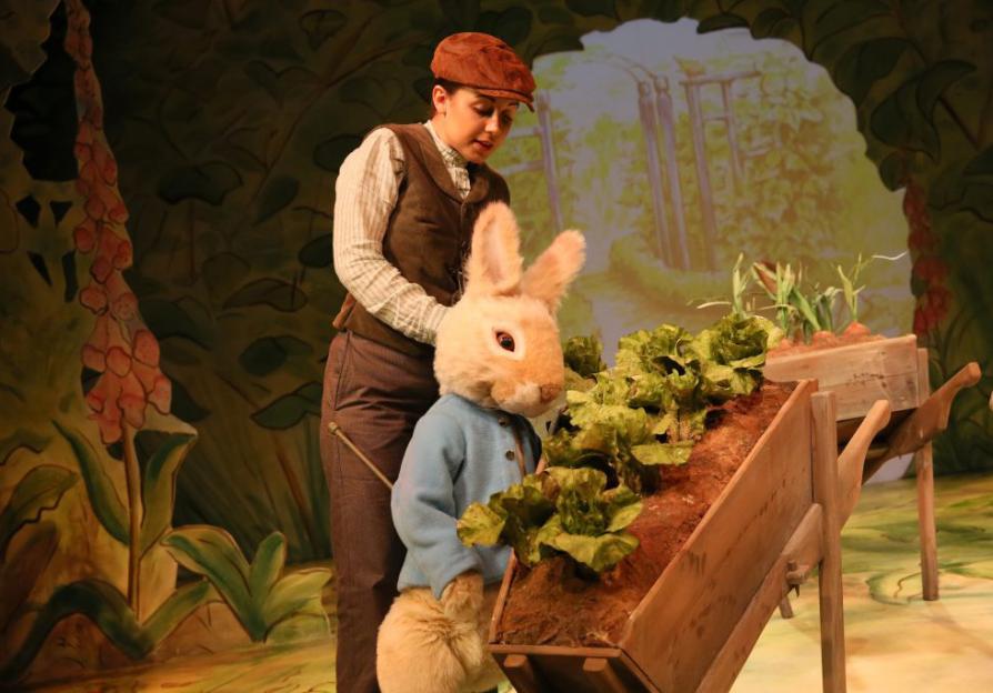 Celebrating our 500th Where is Peter Rabbit? show!